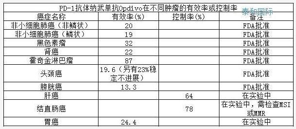 百时美施贵宝称淋巴瘤药物2期试验数据积极